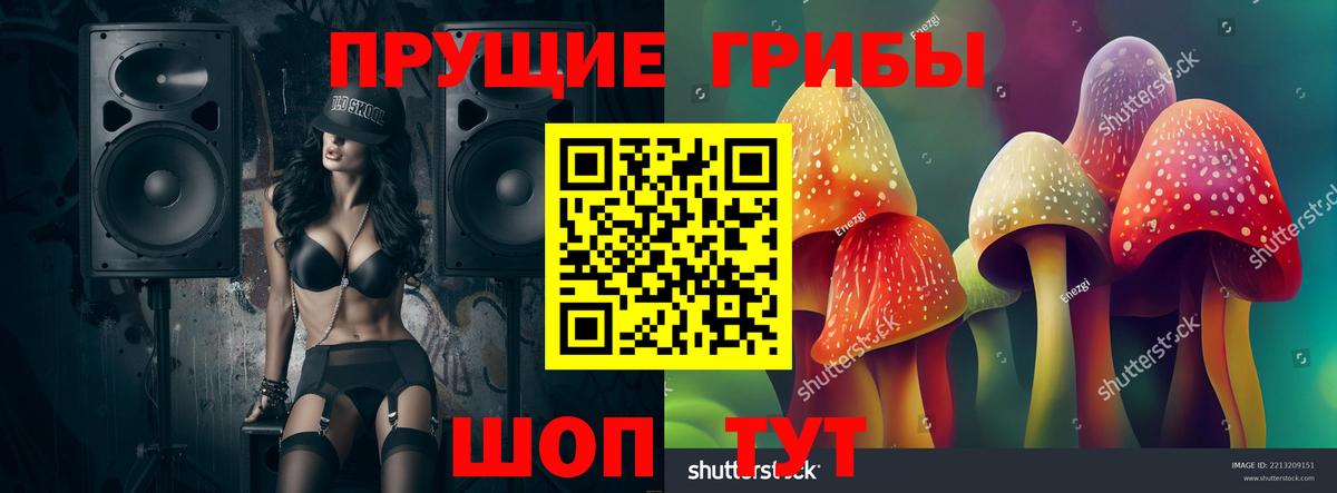 Псилоцибиновые грибы Psilocybine cubensis Донской