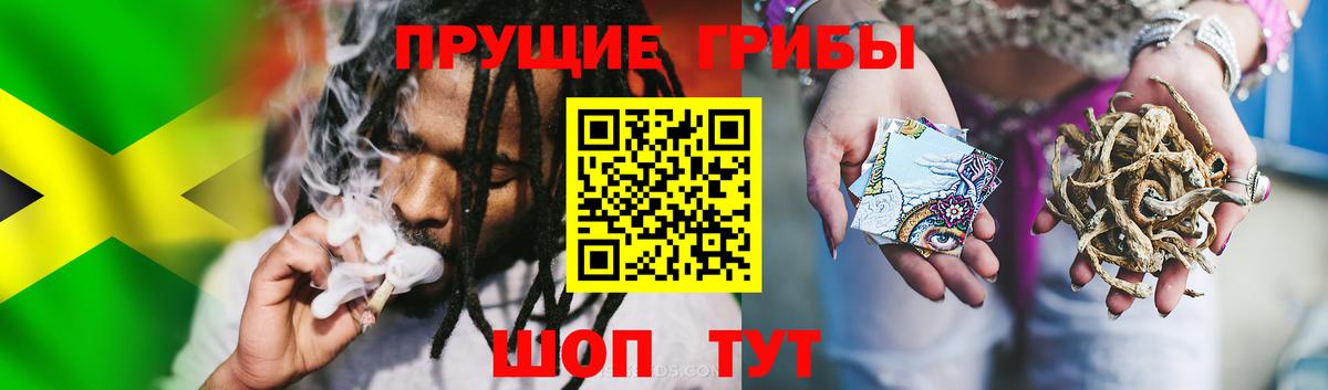 Донской  наркотики  Вход с VPN  Псилоцибиновые грибы GOLDEN TEACHER 